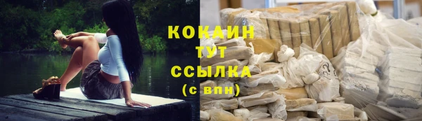 твердый Богородицк