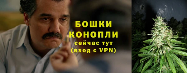 эйфоретик Богородск