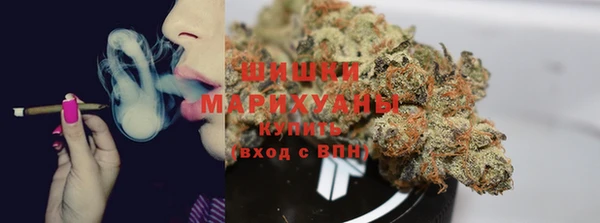 твердый Богородицк